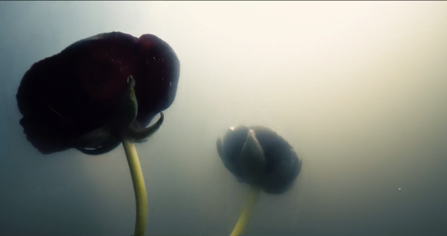 Capture d’écran 2023-05-03 à 21.58.18